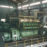 Электростанция Niigata 12V40X Power Plant фото