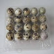 Яйца перепелиные 20 шт фото