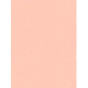 Трикотажное полотно Brushed Tricot pink beige