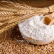 Глютен - пшеничная клейковина фото