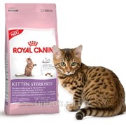 Корм для стерилизованных котят Royal Canin Kitten Sterilised 0,4 кг фото