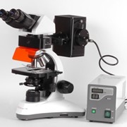 Микроскоп люминесцентный бинокулярный MC 300 (FХP)