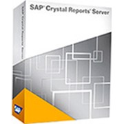 SAP Crystal Server 2013 WIN INTL 20 CAL License (SAP Business Objects) фото