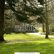 Благоустройство территории, освоение участка, ландшафтный дизайн фото