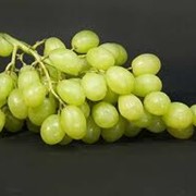 Саженцы винограда (посадочный материал)