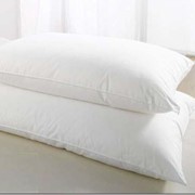 Подушка из гречневой лузги фотография