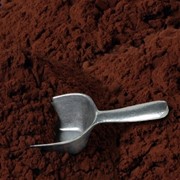 Какао алкализированный