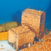 Премиксы для сельскохозяйственных животных фото