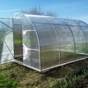 Теплица с поликарбонатом 3*2,1*4 м (1 м шаг дуги / 1,5 листа ПК 4 мм) АГРО фото