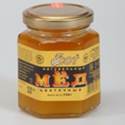 Мёд цветочный фотография