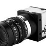 FireWare Цифровые камеры PixelLink A661 FireWire camera фото