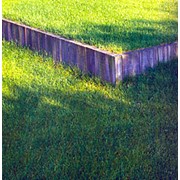 Покрытия газонные