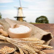 Мука пшеничная хлебопекарная, высший сорт ГОСТ 26574-85 фотография