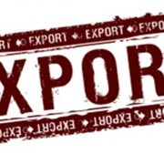 Экспортные перевозки из России в Европу фото