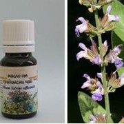 Эфирное масло Шалфея Масло градински чай /Oleum Salvia officinalis/ фото