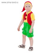 Карнавальный костюм от 1-2-х лет "Гном в красном жилете", велюр, комбинезон, колпак, рост 80-86 см
