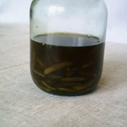 Спиртова настоянка екстракт личинки воскової молі, 20% розчин, 100мл