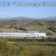 Завод кирпичный продается в Закарпатской обл. действующий. Мощность 15 млн. штук НФ фото