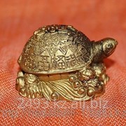 Сувенирная черепаха фотография