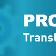 PROMT Translation Server 10 Горнодобывающая промышленность и металлургия Enterprise, Многоязычный одна лиц. (Компания ПРОМТ) фото