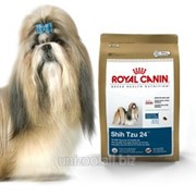 Сухой корм для собак Royal Canin Shih Tzu 24 - 0,5кг фотография