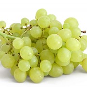 Виноград белый фото