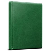 Ежедневник ГЛОСС, недатир., ф.А5, зеленый, кожзам, 160 с., (Проф-Пресс) фото