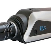IP-камера в стандартном исполнении RVi-IPC21 фото