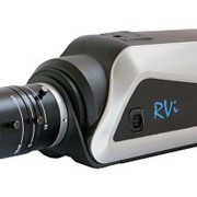 IP-камера в стандартном исполнении RVi-IPC21