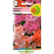 Цветы Пеларгония Райпл (5 шт) фото