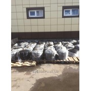 Диск дискатора БДМ фото