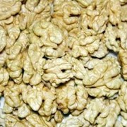 Орехи грецкие чищенные оптом