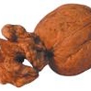 Орех грецкий в скорлупе, ядро грецкого ореха