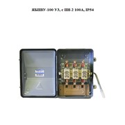 Ящик силовой ЯБПВУ-100 У3, с ПН-2 100А, IP54 фото