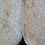 Рис круглый шлифованный фото