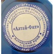 Лекарственные травы (herbs) фото
