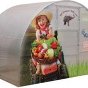 Вставки для теплиц, Алёнушка 2 м, Теплицы под поликарбонатом, Теплицы, парники, оранжереи фото