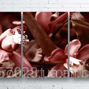 Модульна картина на полотні Червона орхідея код КМ100180-243-ANT фотография