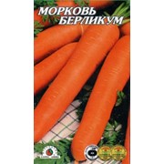 Морковь Берликум фото