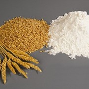 Мука пшеничная хлебопекарная 2 сорт