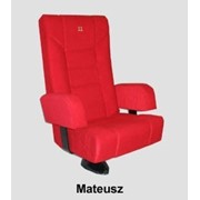 Кресло Mateusz фото