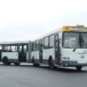 Автобусы ЛИАЗ