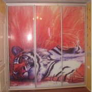Шкаф-купе с рисунком тигра фото