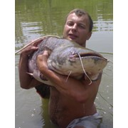 Рыбалка в дельте Дуная Одесская область фото