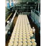 Машины и оборудование для производства сыра