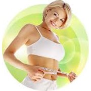 Курсы, группа поддержки для людей, желающих скорректировать (похудеть или набрать) вес и фигуру фото