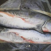 Рыба Кета ПСГ, Морская 2- 3 кг фото
