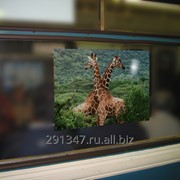 Реклама в вагонах метро фото