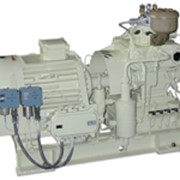 Установка компрессорная высокого давления серии ЭКПА-2/150 для нагнетания воздуха в баллоны и автоматического поддержания в них давления в пределах 150 кгс/см2 или 200 кгс/см фото