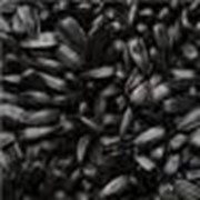 Калиброванная семечка подсолнечника 3,8+ фотография
